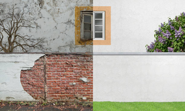 Best Mold Prevention Services  in Wmette, IL