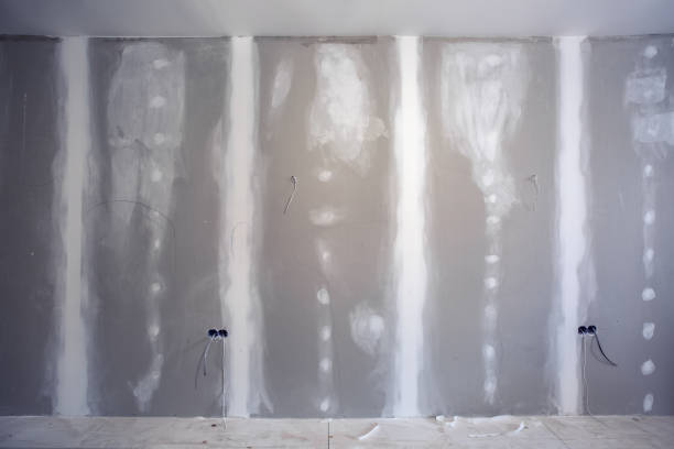 Best HVAC Mold Inspection and Cleaning  in Wmette, IL