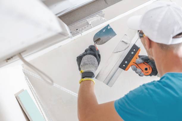 Best Dehumidification Services  in Wmette, IL